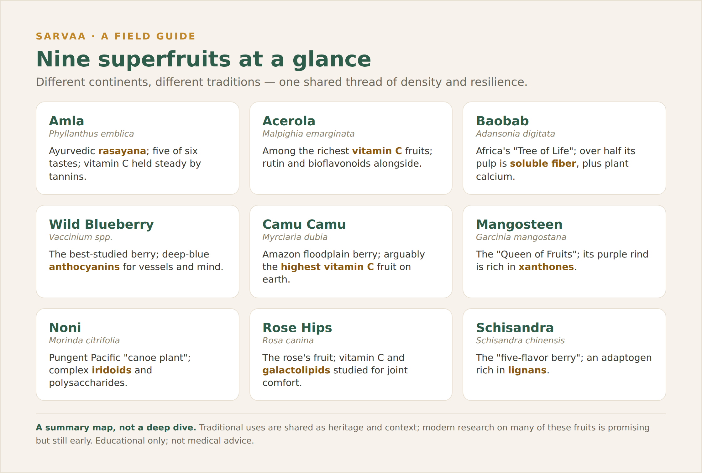 A field-guide card summarizing nine superfruits:  amla, acerola, baobab, wild blueberry, camu camu, mangosteen, noni, rose hips, and schisandra &mdash; each with its botanical name and signature compound. 