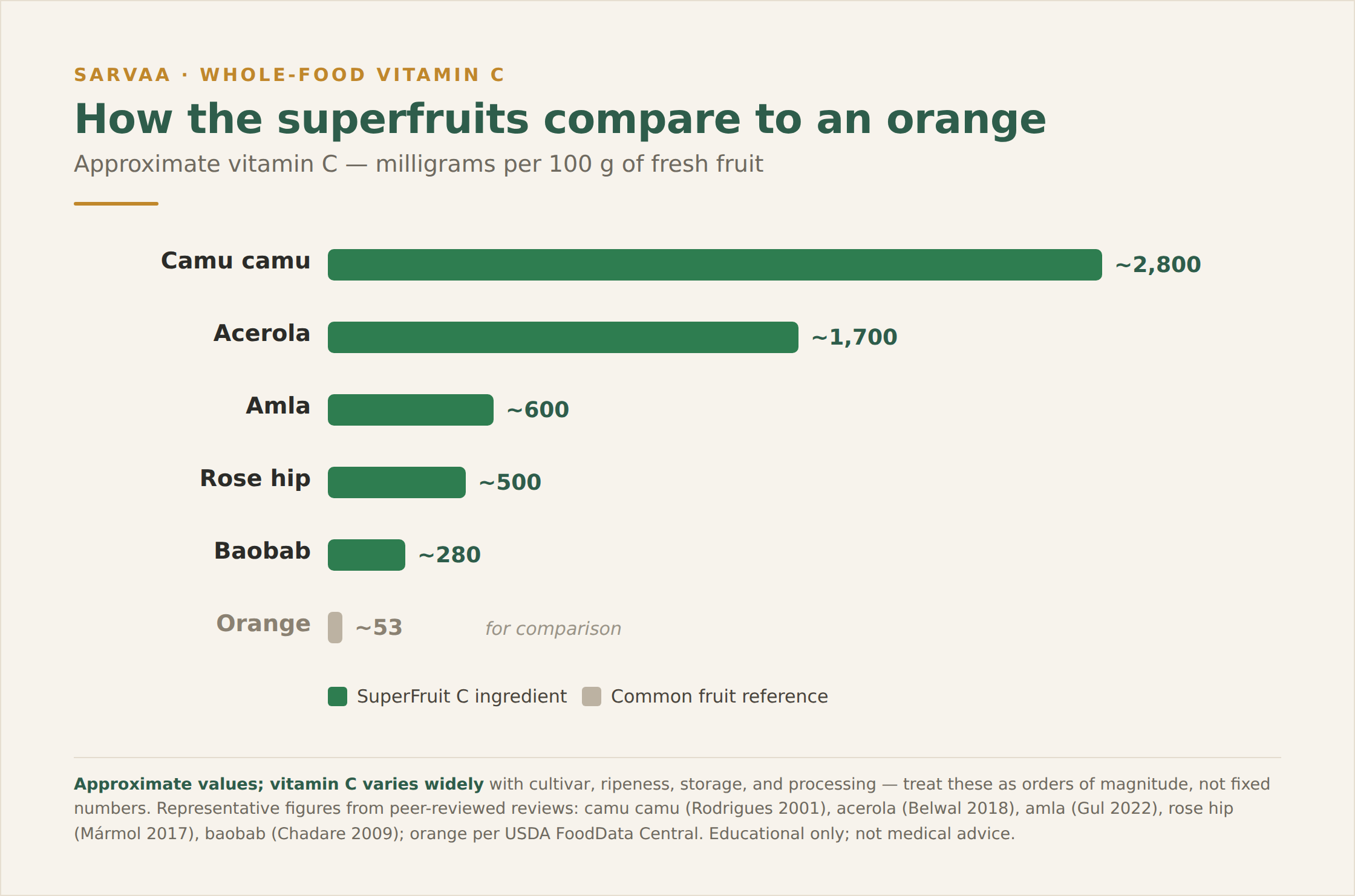 A horizontal bar chart comparing approximate vitamin C per 100 g of fresh fruit: camu camu about 2,800 mg, acerola about 1,700 mg, amla about 600 mg, rose hip about 500 mg, baobab about 280 mg, and orange about 53 mg for reference. 