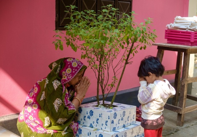 A woman teaches a young child the sacred tradition of Tulsi worship.