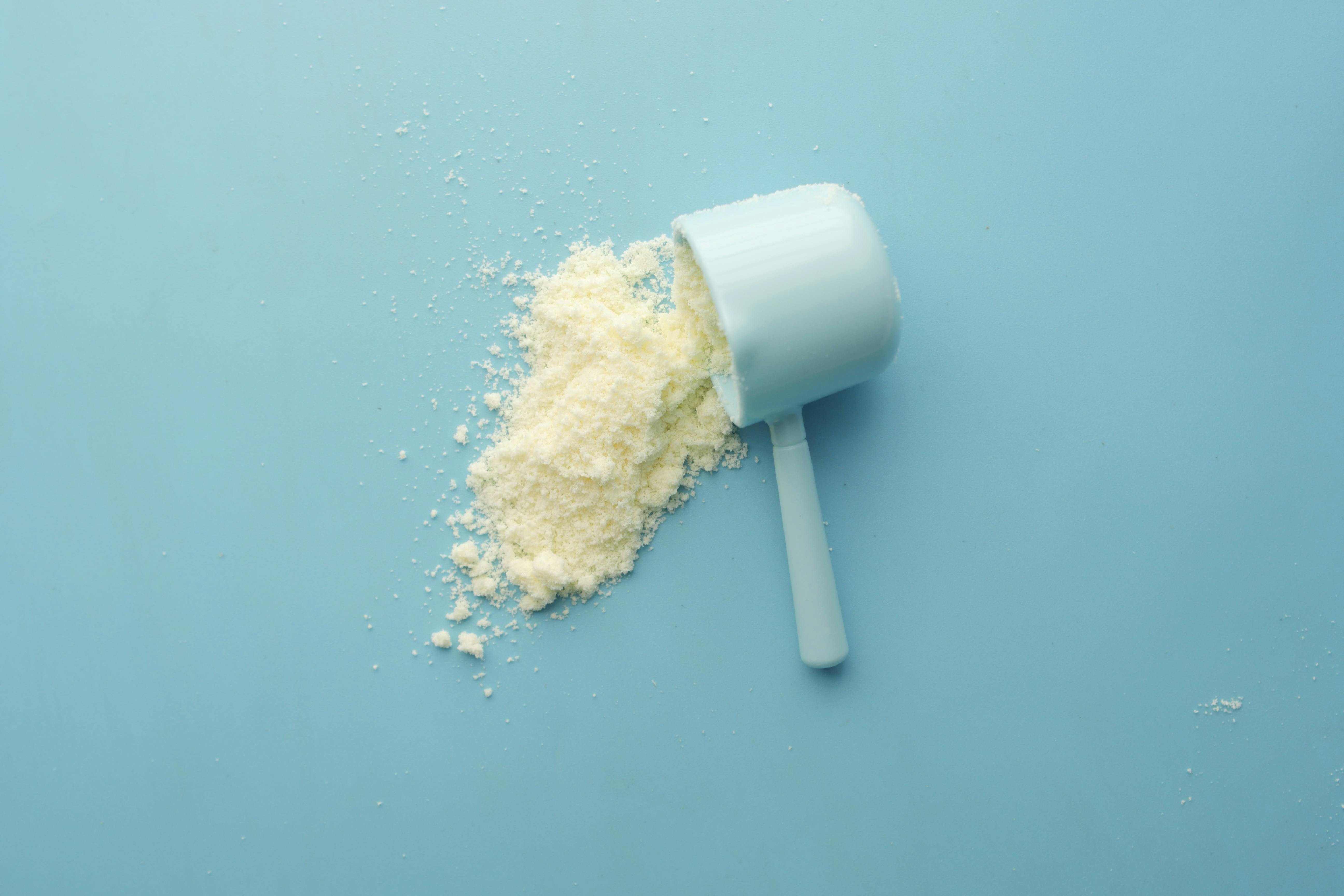 Scoop of light-colored fermented brown rice protein powder&nbsp;